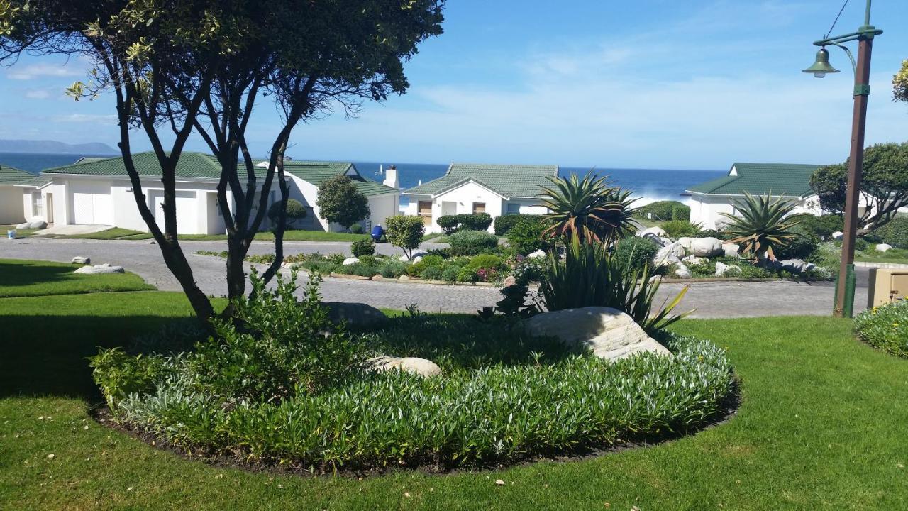 The Potting Shed Self Catering Apartment Hermanus Exterior photo