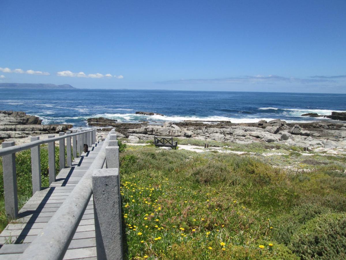 The Potting Shed Self Catering Apartment Hermanus Exterior photo