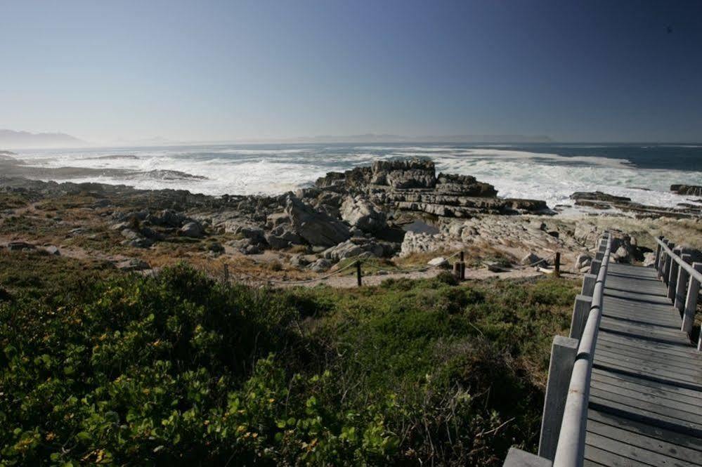The Potting Shed Self Catering Apartment Hermanus Exterior photo