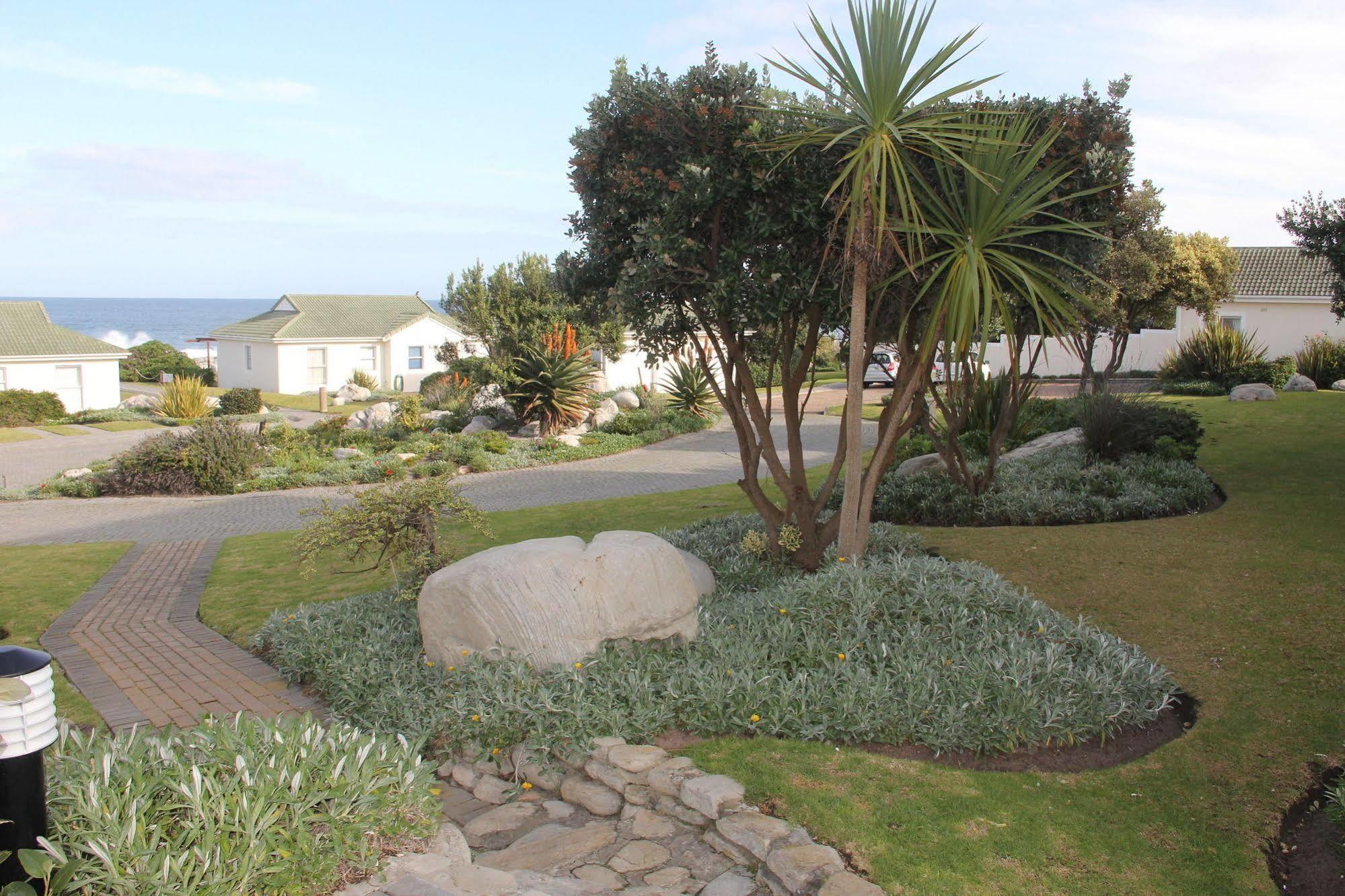 The Potting Shed Self Catering Apartment Hermanus Exterior photo